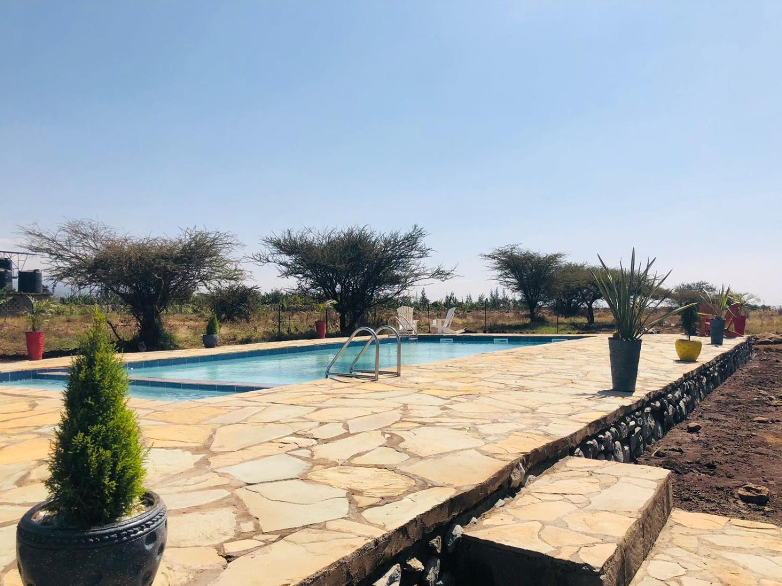Amboseli Glass House Oloitokitok Ngoại thất bức ảnh
